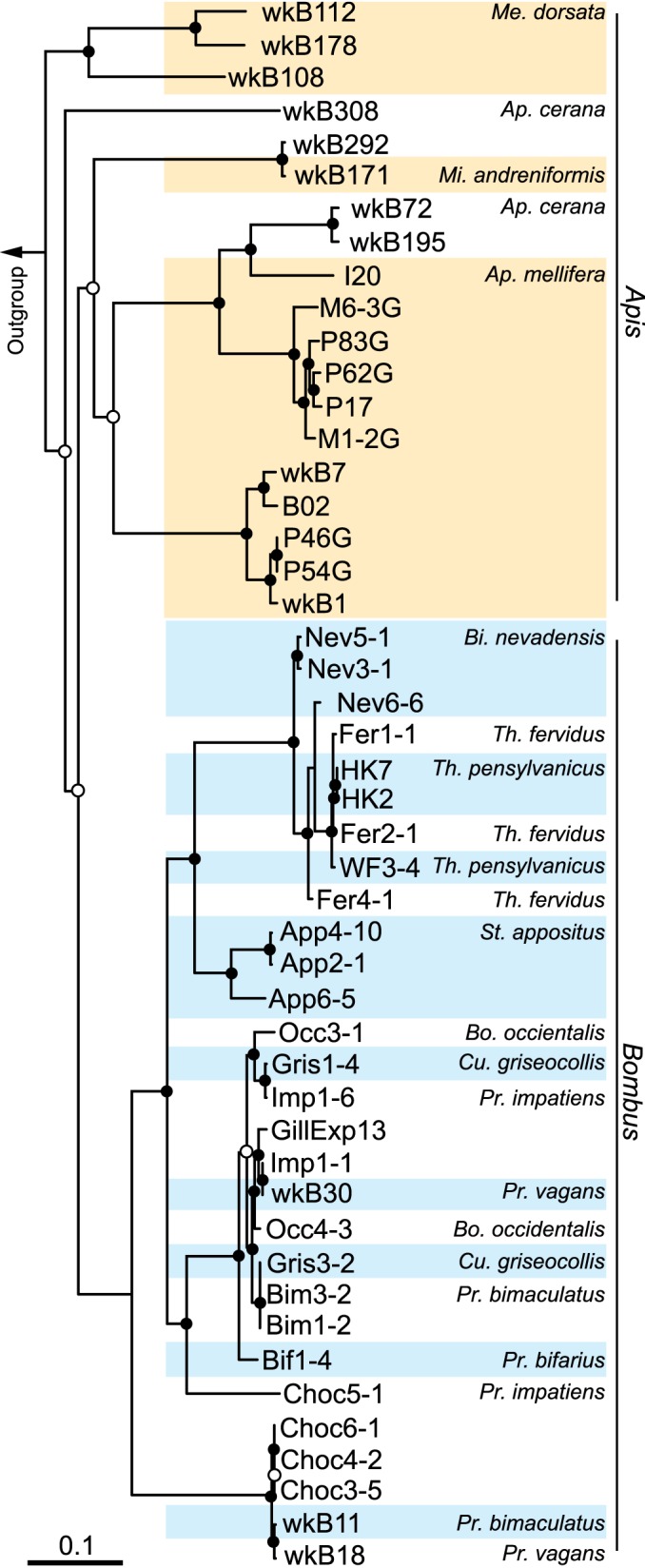 FIG 1 