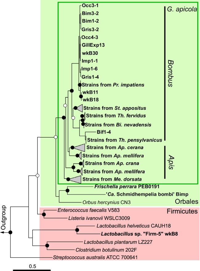 FIG 2 