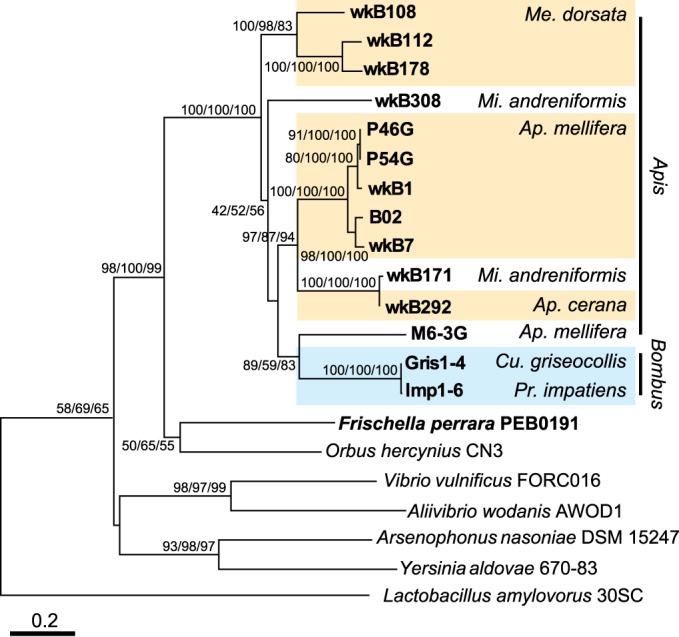 FIG 4 