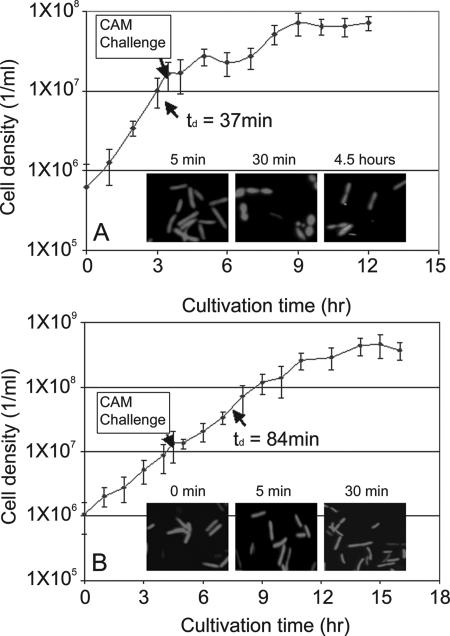 FIG. 2.