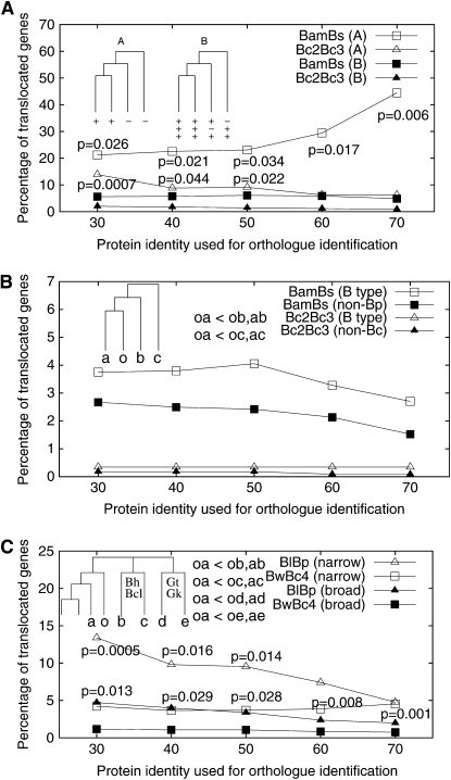 Figure 5.—