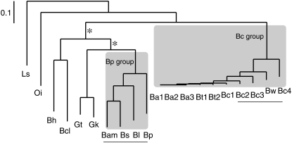 Figure 1.—