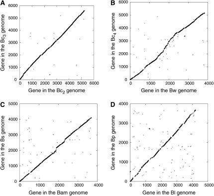 Figure 2.—