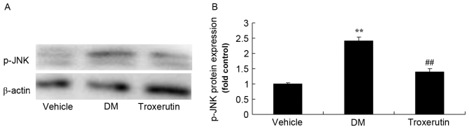 Figure 9.