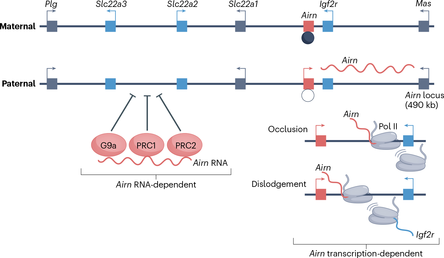 Fig. 4 |