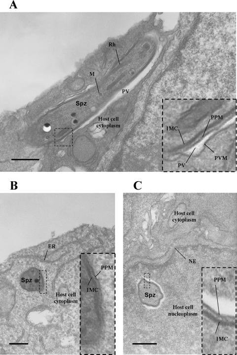 FIG. 6.