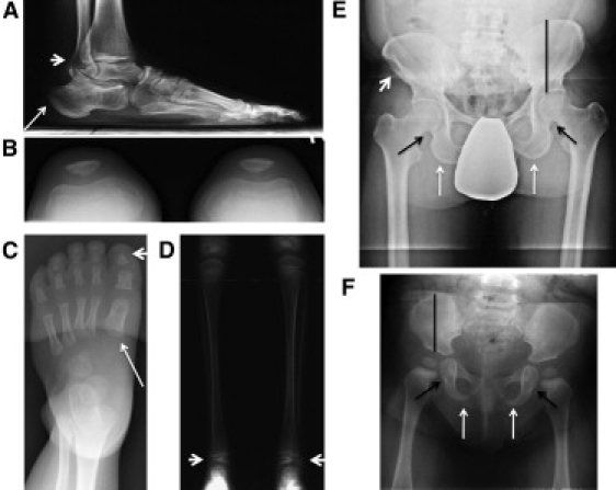 Figure 3