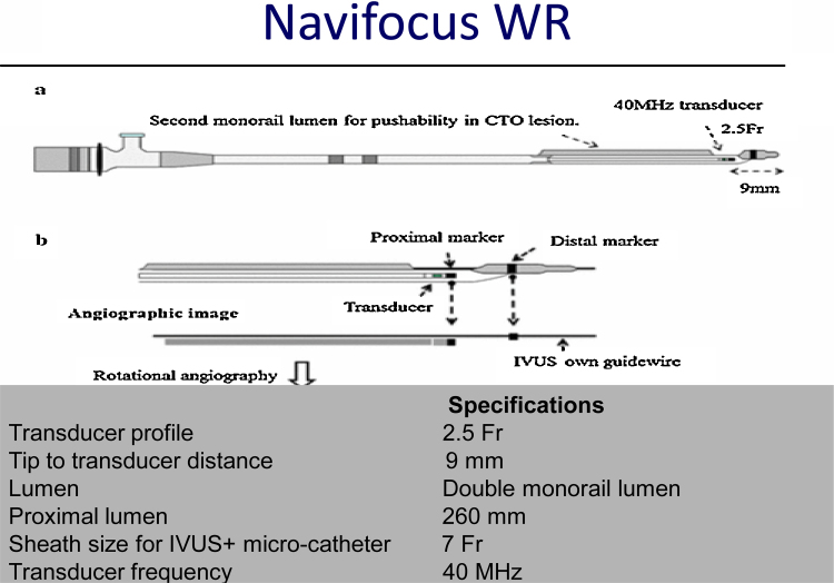 Fig. 19