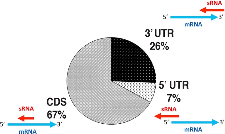 FIG 5