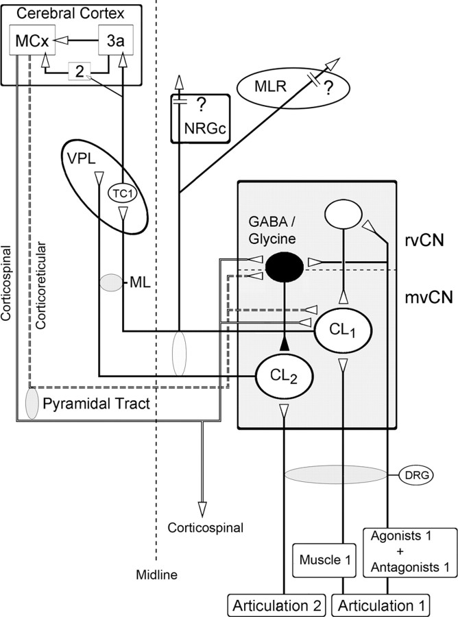 Figure 12.