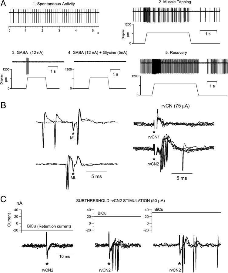 Figure 10.