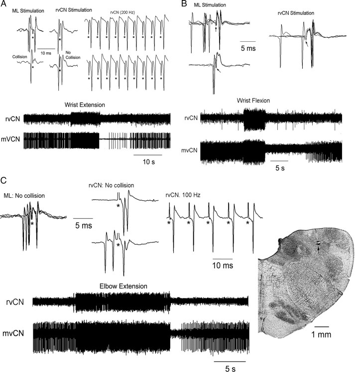 Figure 5.