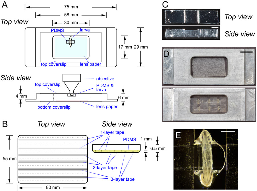 Figure 1: