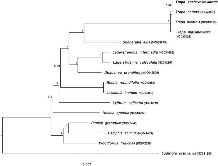 Figure 1.