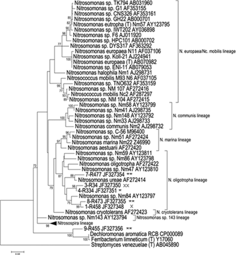 Fig. 9.