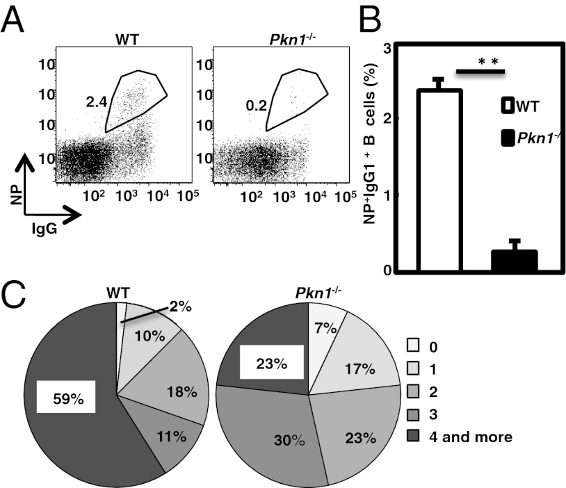 Fig. 6.