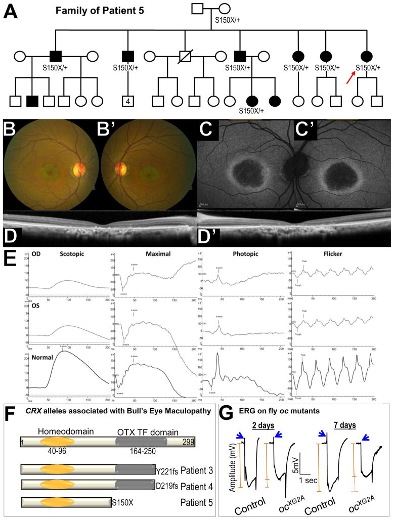 Figure 5