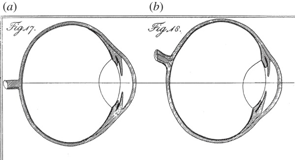 Figure 3.