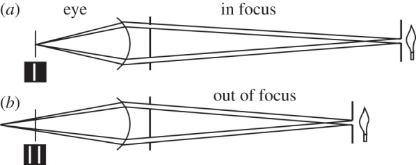 Figure 2.