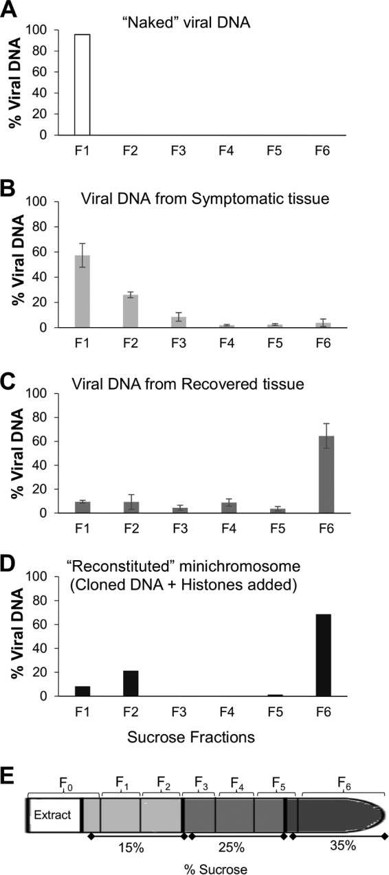 FIG 3