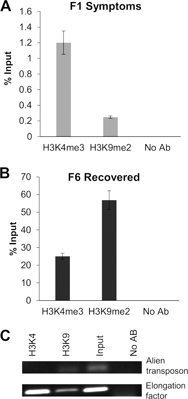 FIG 6