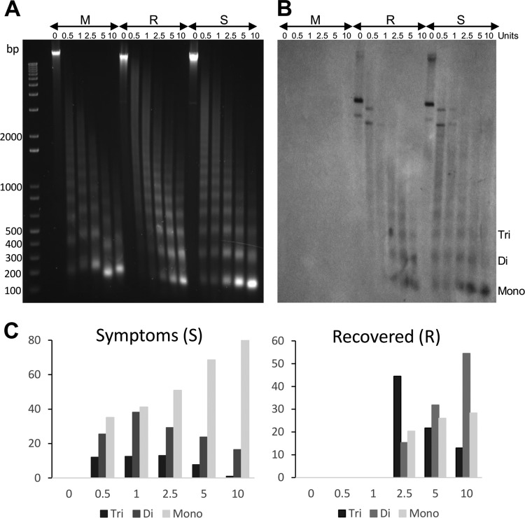 FIG 1