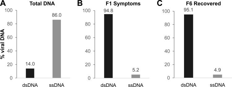 FIG 4