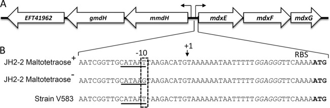 FIG 1