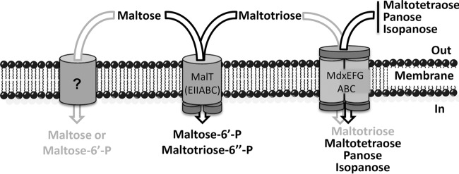 FIG 10