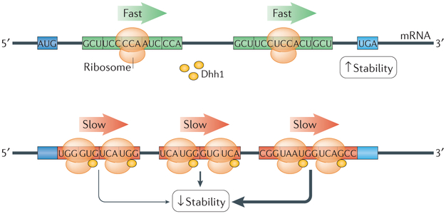 Figure 3 ∣