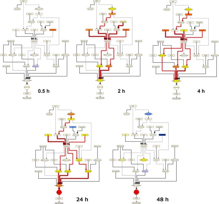 Figure 7