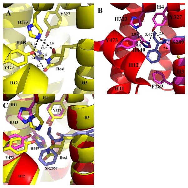 Figure 5