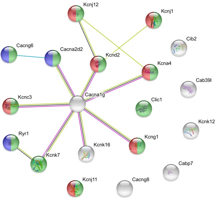 FIGURE 3