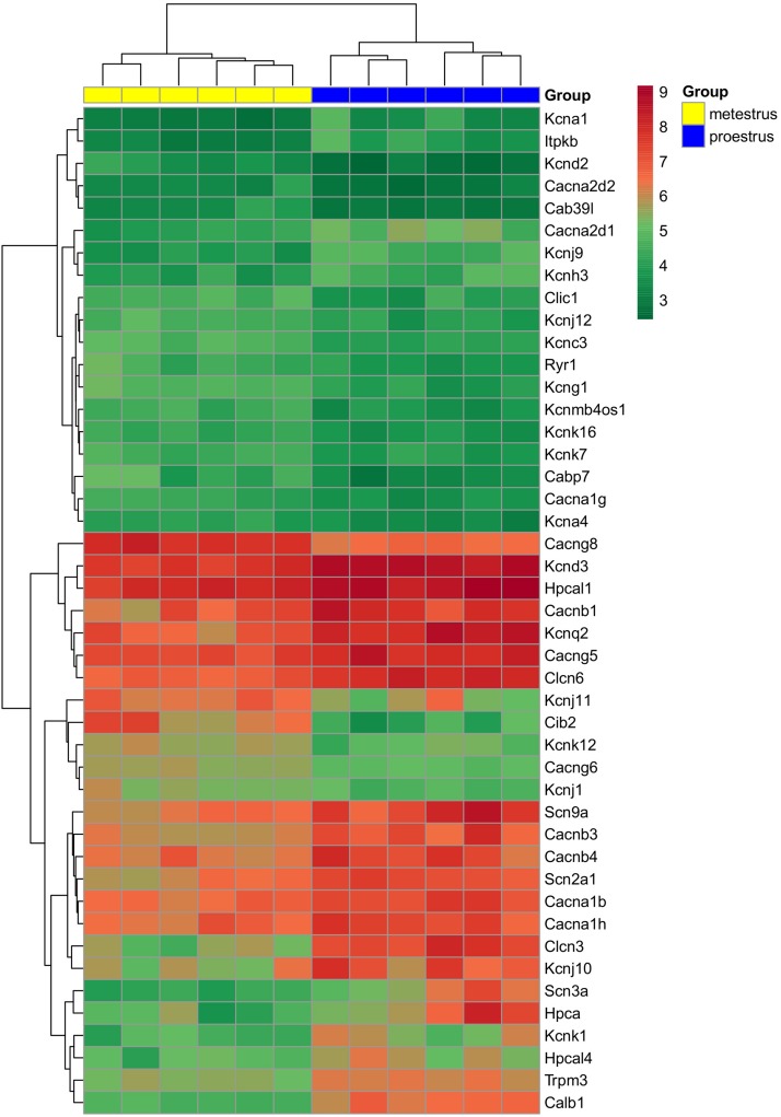 FIGURE 1