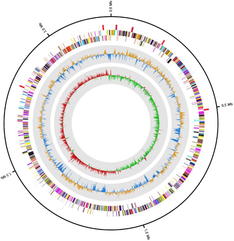 Fig. 1.