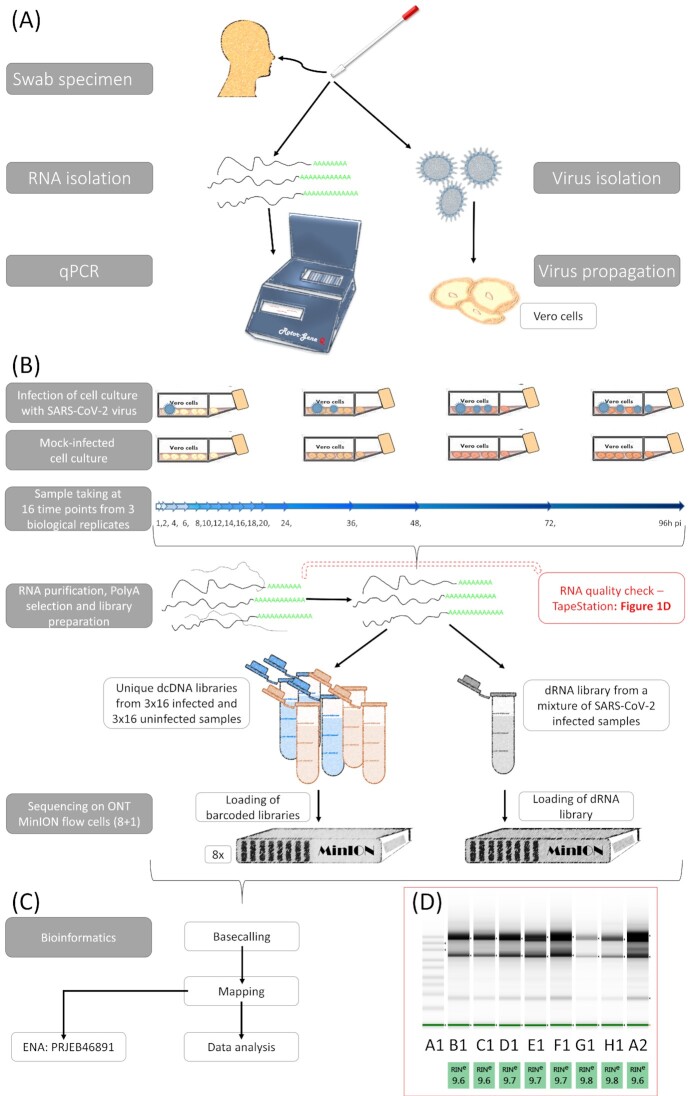 Figure 1: