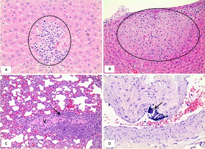 FIGURE 12