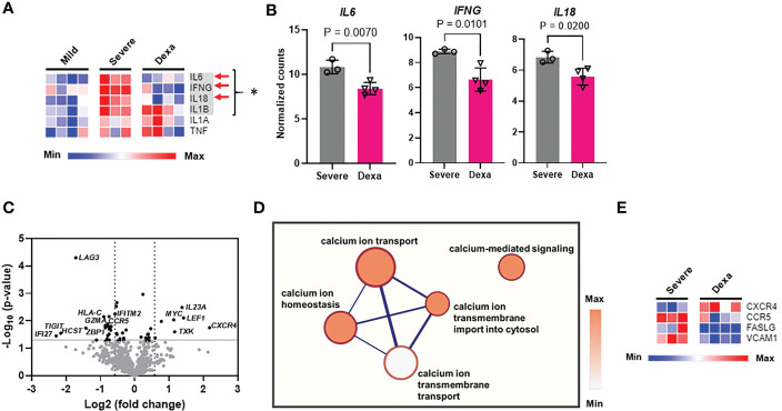 Figure 3