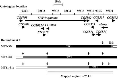 Figure 3.—