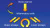 Figure 1)