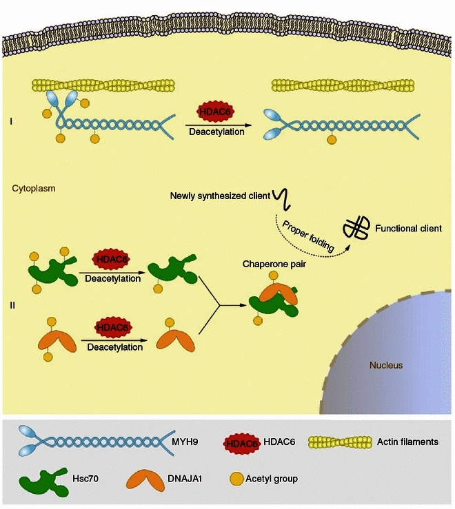 Figure 6