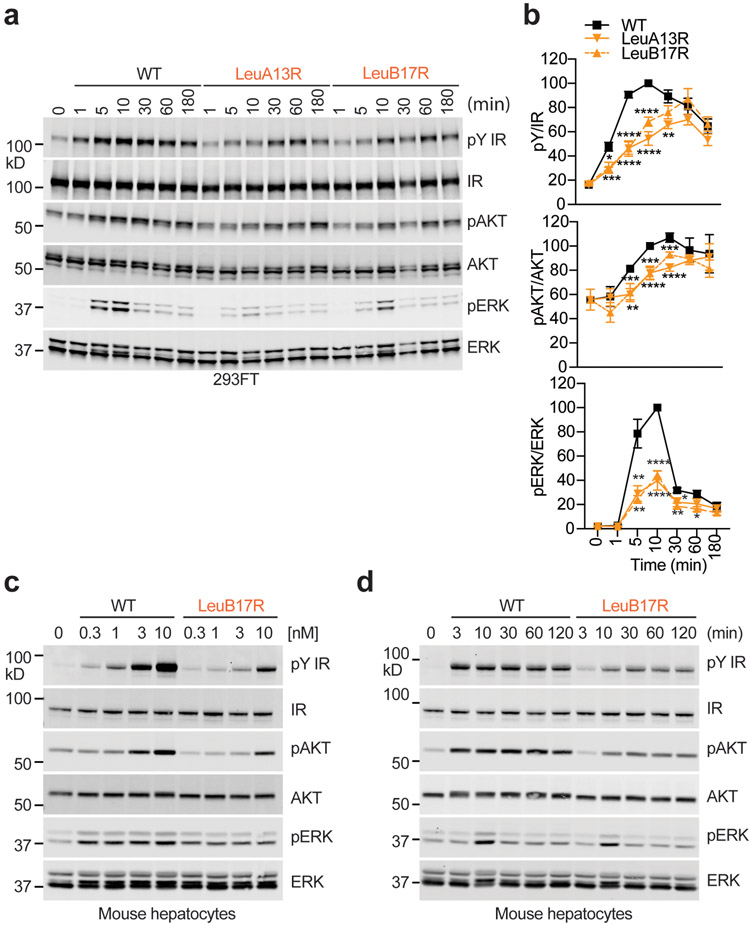 Extended Data Fig. 7