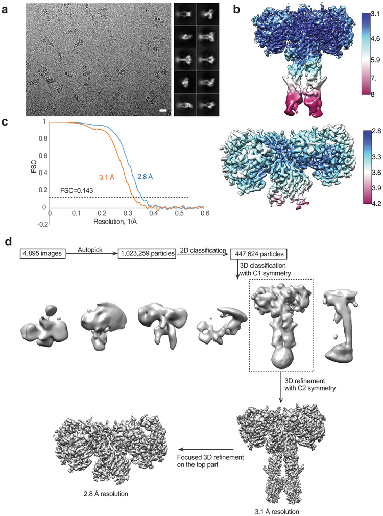 Extended Data Fig. 8