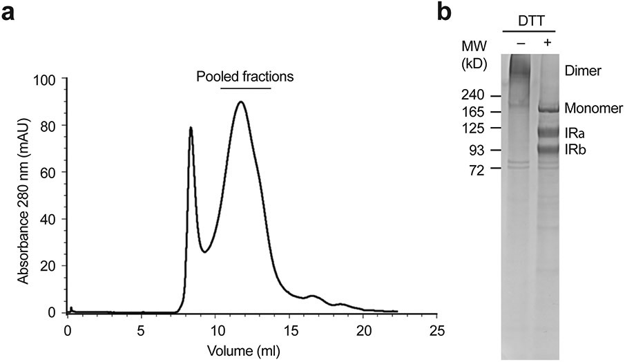 Extended Data Fig. 2