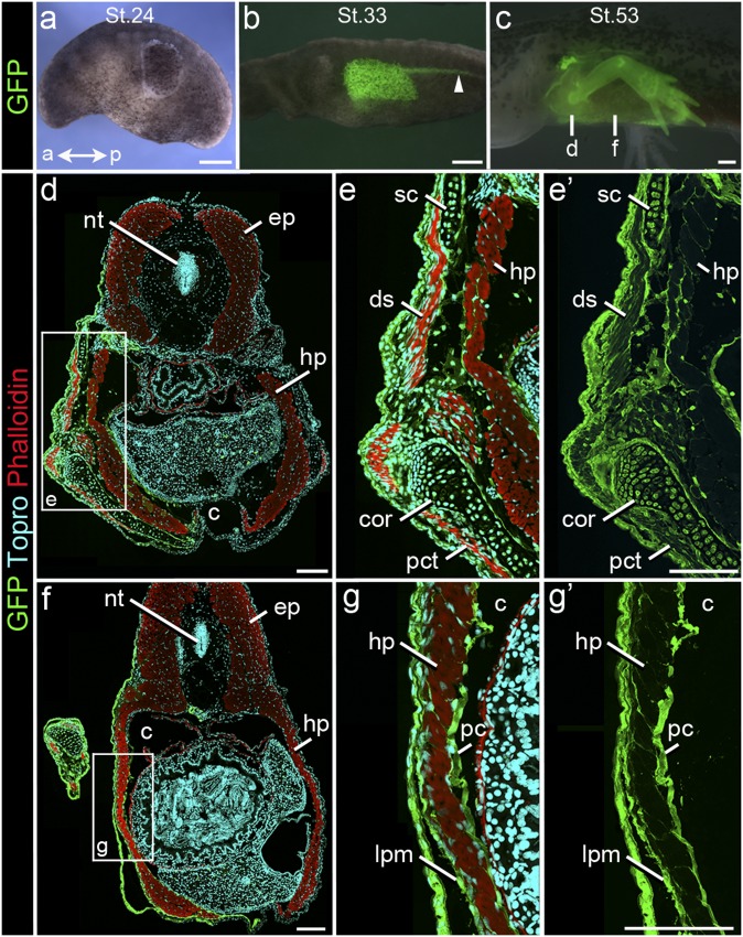 Fig. 5.