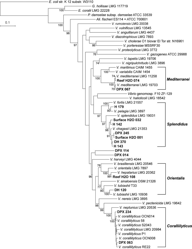 FIG 3