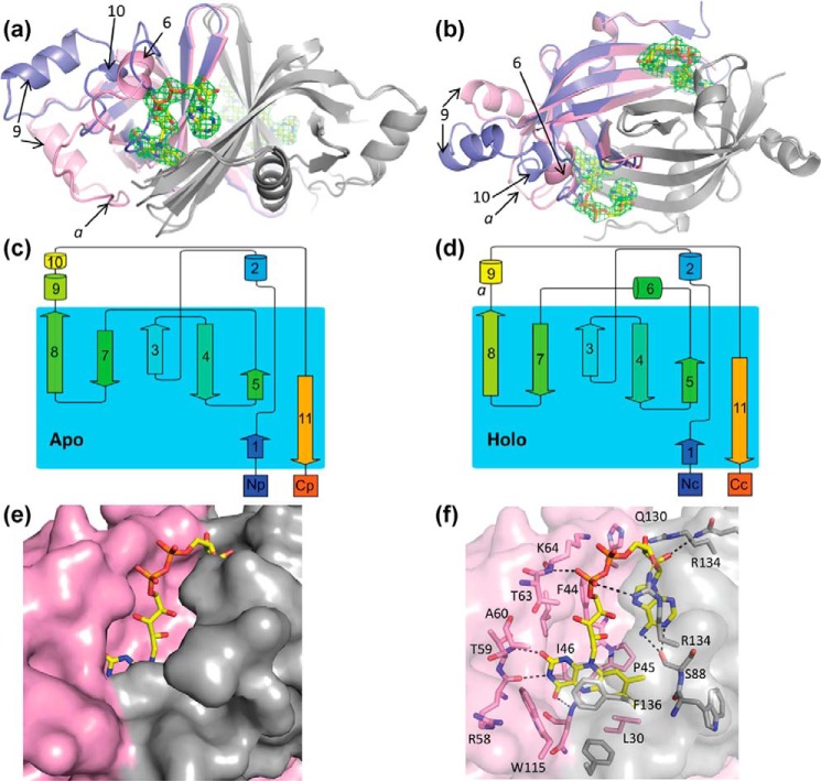 Figure 4.