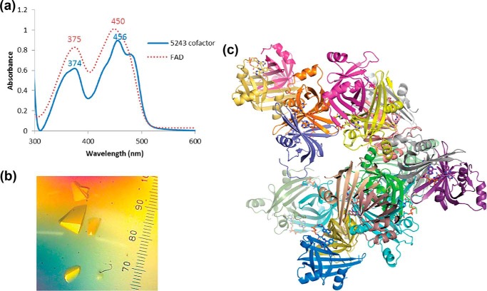 Figure 3.