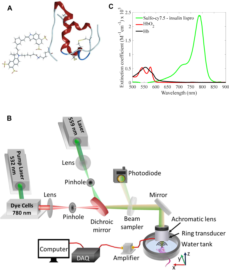 Figure 1