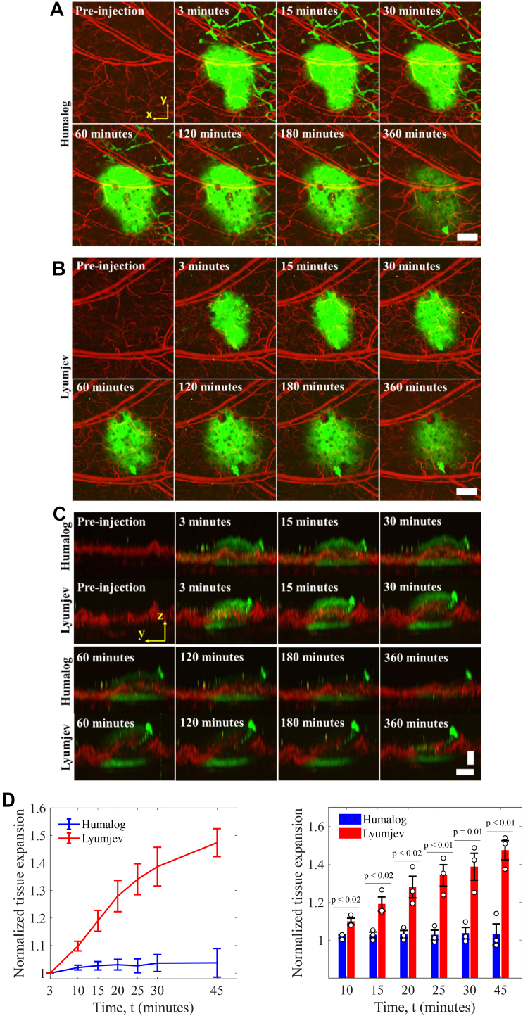 Figure 2